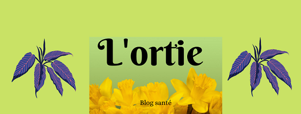 bande de fleurs jaunes sur fond vert avec un titre :ortie